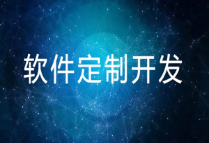 crm系统定制开发怎样知足企业的个性化需求？？？？？？