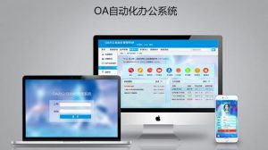 上海OA系统开发：中小企业OA软件定制开发有哪些优劣势？？？？？？？？